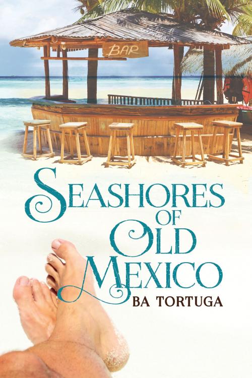 Cover of the book Seashores of Old Mexico by BA Tortuga, Dreamspinner Press