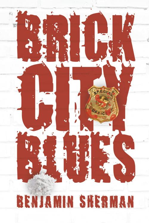 Cover of the book Brick City Blues by Benjamin Sherman, Page Publishing, Inc.