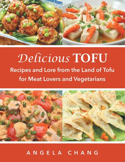 Cover of the book Delicious Tofu by Angela Chang, Page Publishing, Inc.