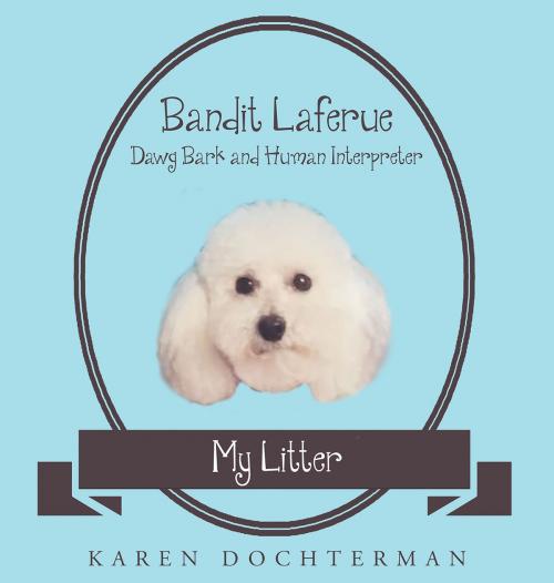 Cover of the book Bandit Laferue by Karen Dochterman, Page Publishing, Inc.
