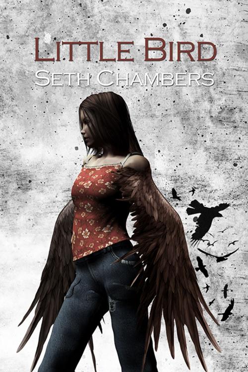 Cover of the book Little Bird by Seth Chambers, Double Dragon Publishing