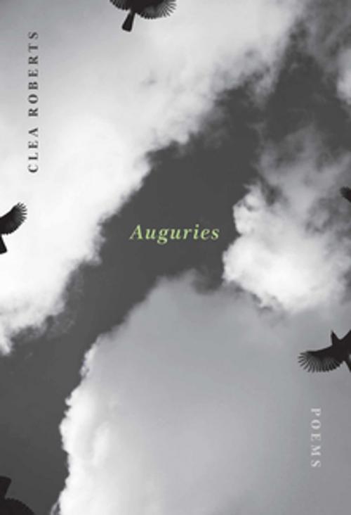 Cover of the book Auguries by Clea Roberts, Brick Books