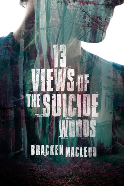 Cover of the book 13 Views of the Suicide Woods by Bracken MacLeod, ChiZine Publications