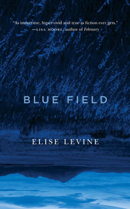 Cover of the book Blue Field by Elise Levine, Biblioasis