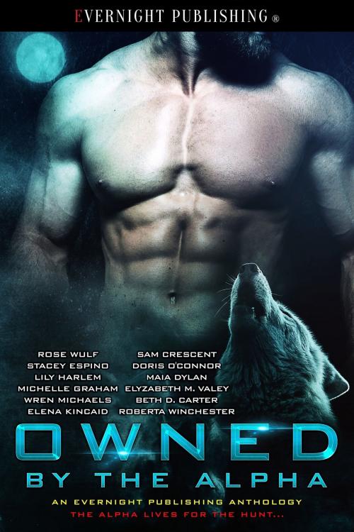 Cover of the book Owned by the Alpha by Rose Wulf, Elyzabeth M. VaLey, Maia Dylan, Lily Harlem, Roberta Winchester, Michelle Graham, Elena Kincaid, Stacey Espino, Doris O'Connor, Beth D. Carter, Wren Michaels, Sam Crescent, Evernight Publishing