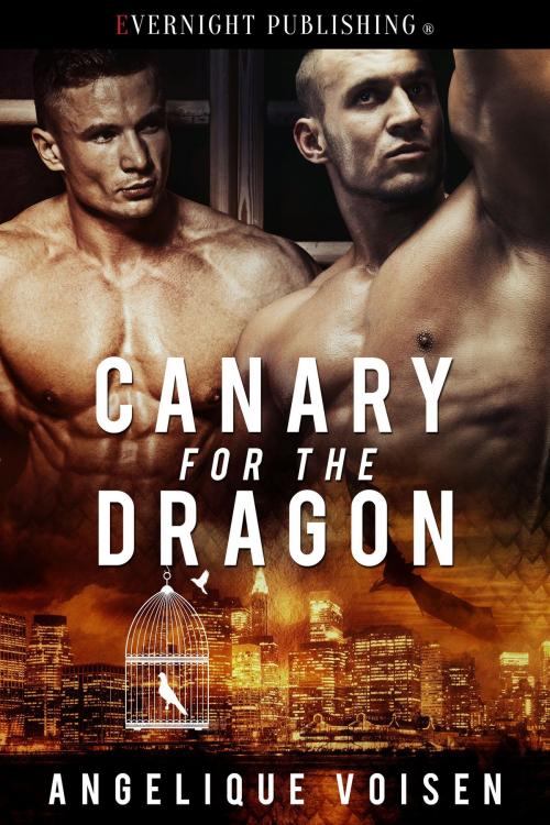 Cover of the book Canary for the Dragon by Angelique Voisen, Evernight Publishing
