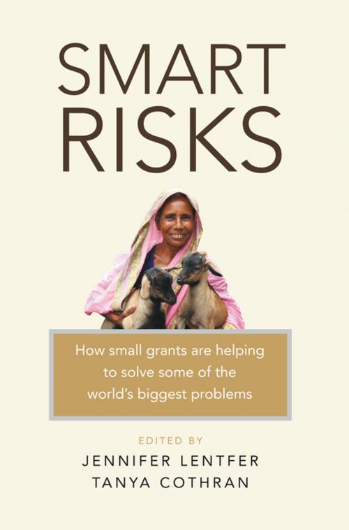 Cover of the book Smart Risks by , Practical Action Publishing