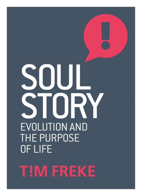 Cover of the book Soul Story by Tim Freke, Watkins Media