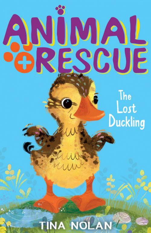 Cover of the book The Lost Duckling by Tina Nolan, Stripes Publishing