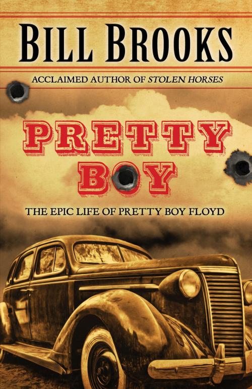 Cover of the book Pretty Boy by Bill Brooks, Encircle Publications
