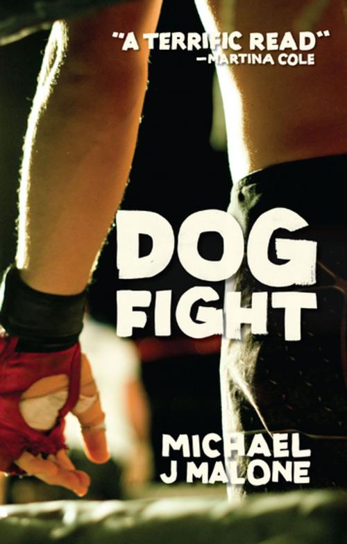 Cover of the book Dog Fight by Michael J Malone, Saraband