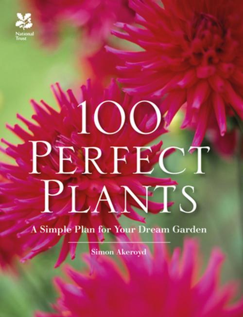 Cover of the book 100 Perfect Plants by Simon Akeroyd, Pavilion Books