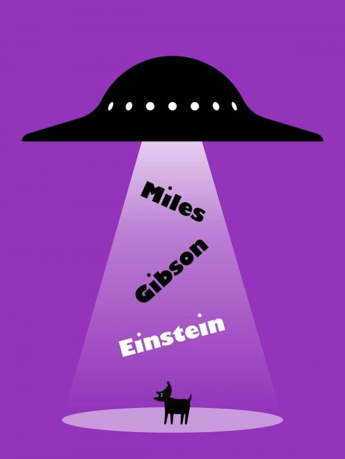 Cover of the book Einstein by Miles Gibson, Canelo