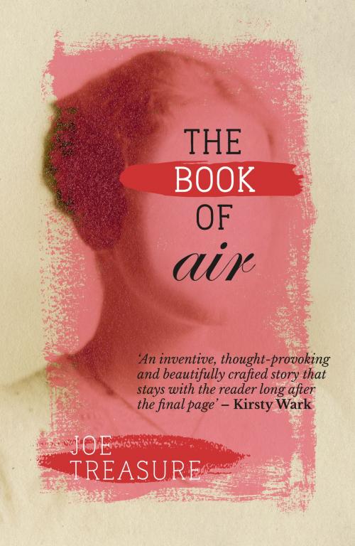 Cover of the book The Book of Air by Joe Treasure, Clink Street Publishing