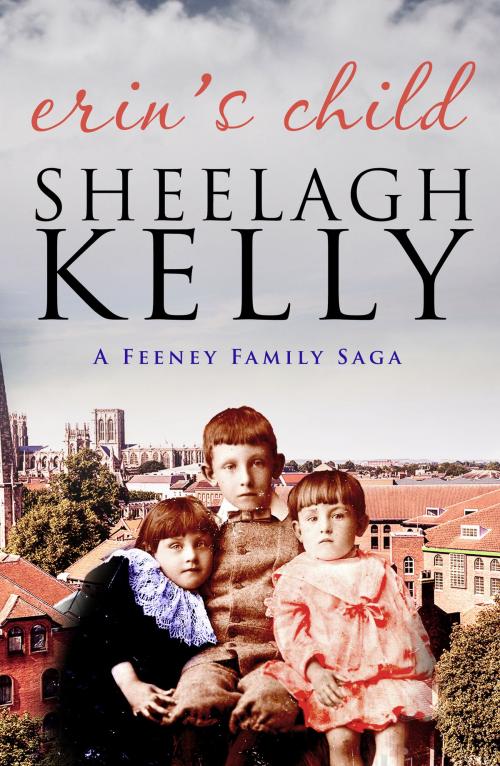 Cover of the book Erin's Child by Sheelagh Kelly, Canelo