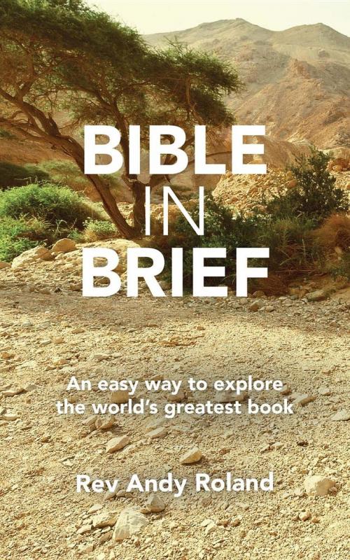 Cover of the book Bible in Brief by Rev. Andy Roland, Filament Publishing
