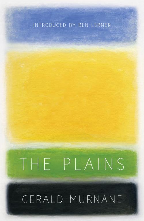 Cover of the book The Plains by Gerald Murnane, The Text Publishing Company