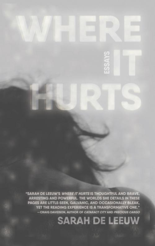 Cover of the book Where It Hurts by Sarah de Leeuw, NeWest Press
