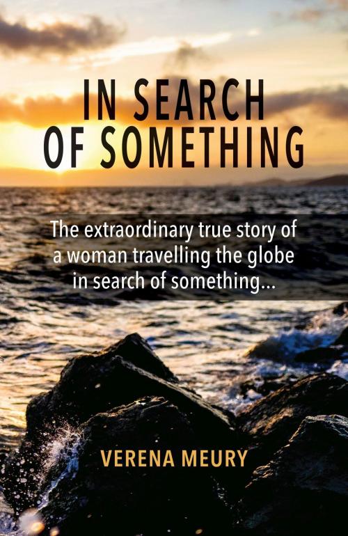 Cover of the book In Search of Something by Verena Meury, Verena Meury
