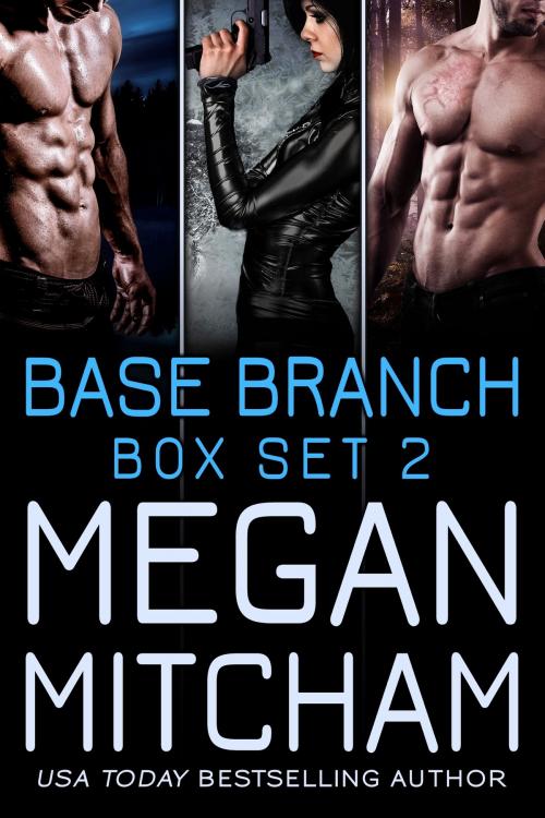 Cover of the book Base Branch Series - Box Set 2 by Megan Mitcham, MM Publishing LLC