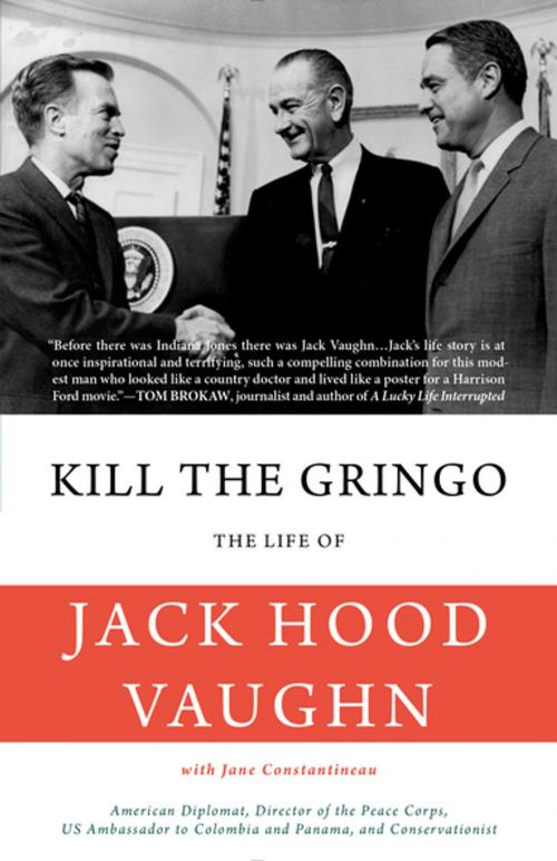 Cover of the book Kill the Gringo by Jack Hood Vaughn, Jane Constantineau, Rare Bird Books