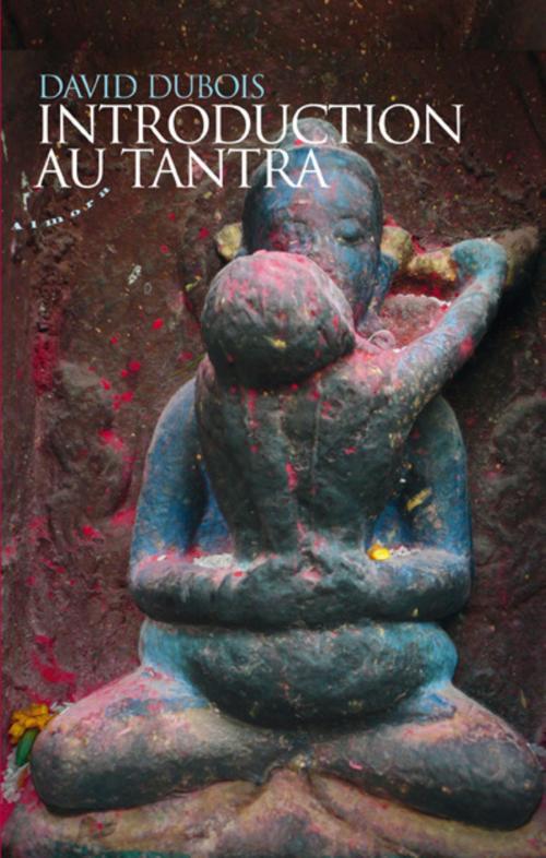 Cover of the book Introduction au tantra by David Dubois, Groupe CB