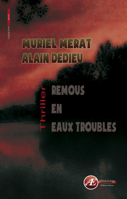 Cover of the book Remous en eaux troubles by Muriel Merat, Alain Dedieu, Editions Ex Aequo