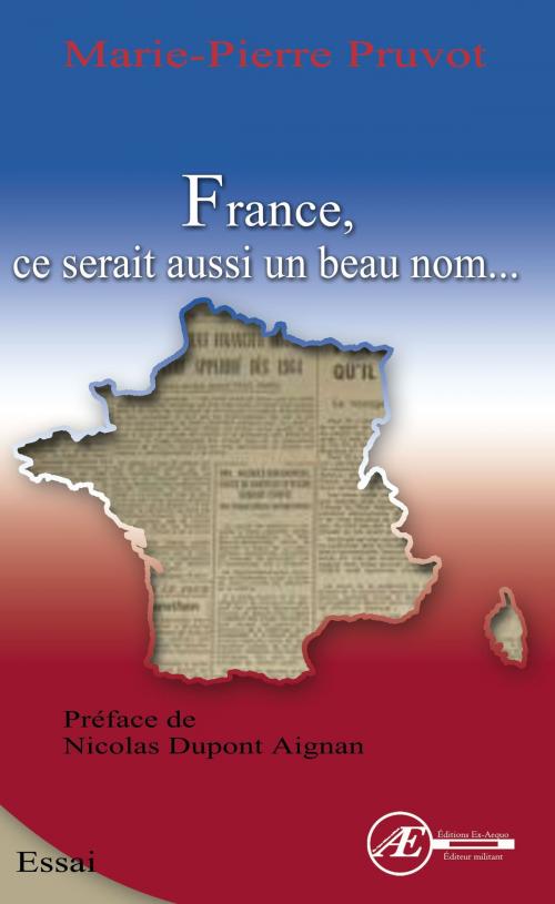 Cover of the book France, ce serait aussi un beau nom by Marie-Pierre Pruvot, Editions Ex Aequo