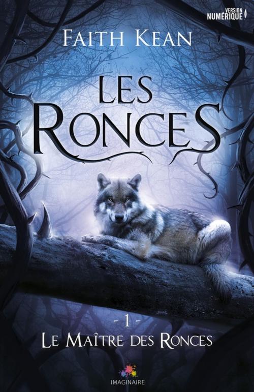 Cover of the book Le Maître des Ronces by Faith Kean, MxM Bookmark
