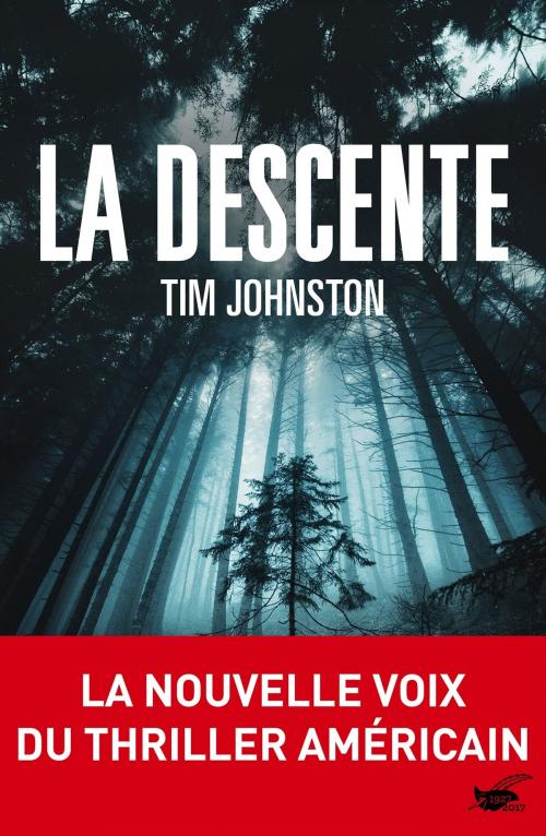 Cover of the book La descente by Tim Johnston, Le Masque