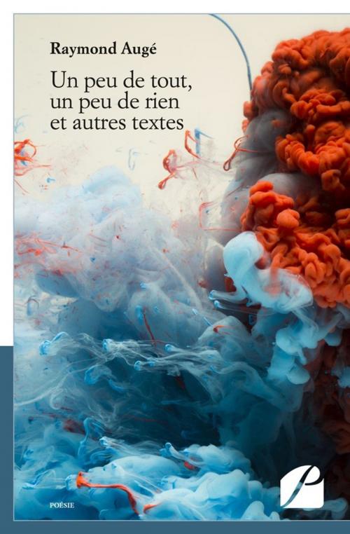 Cover of the book Un peu de tout, un peu de rien et autres textes by Raymond Augé, Editions du Panthéon