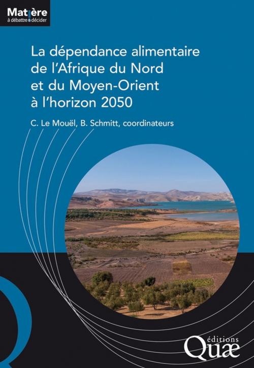 Cover of the book La dépendance alimentaire de l'Afrique du Nord et du Moyen-Orient à l'horizon 2050 by Chantal Le Mouël, Bertrand Schmitt, Quae