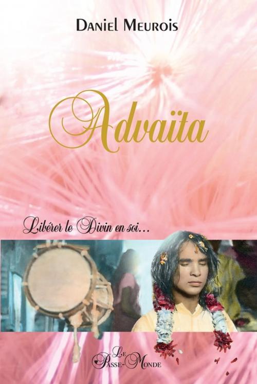 Cover of the book Advaïta by Daniel Meurois, Passe monde