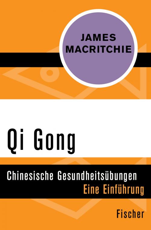 Cover of the book Qi Gong by James MacRitchie, FISCHER Digital