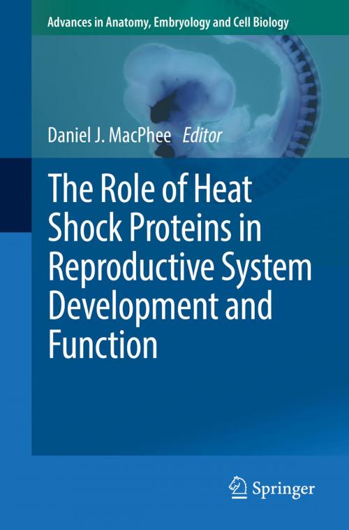 Cover of the book The Role of Heat Shock Proteins in Reproductive System Development and Function by , Springer International Publishing