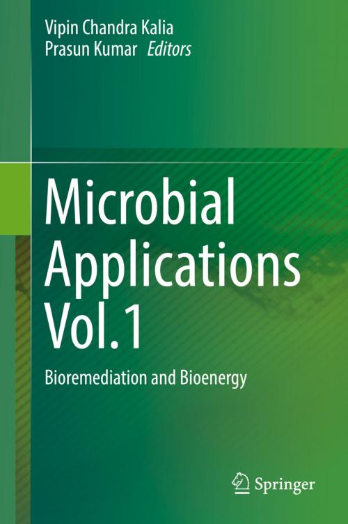 Cover of the book Microbial Applications Vol.1 by , Springer International Publishing