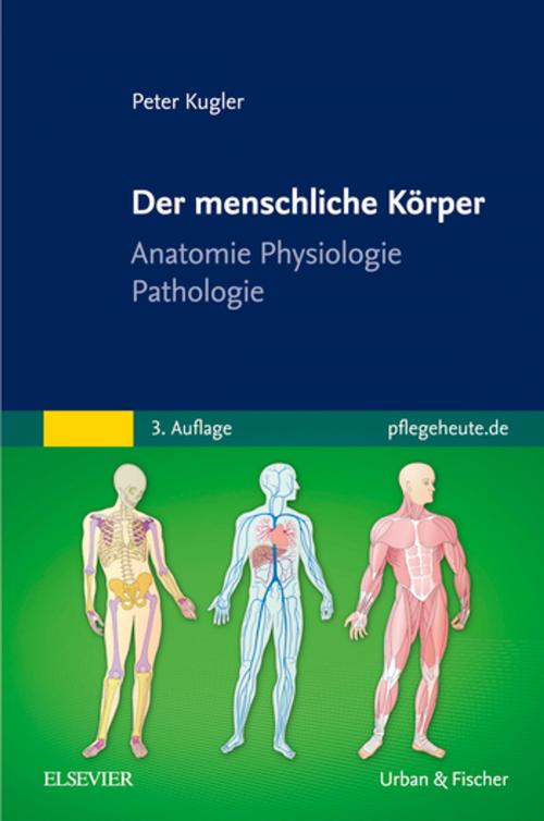 Cover of the book Der menschliche Körper by Peter Kugler, Elsevier Health Sciences