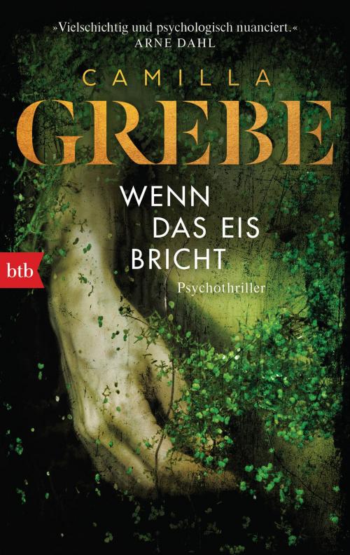 Cover of the book Wenn das Eis bricht by Camilla Grebe, btb Verlag