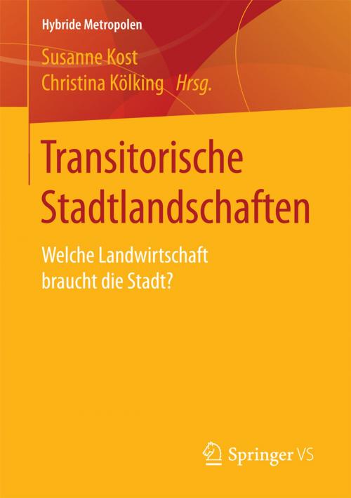 Cover of the book Transitorische Stadtlandschaften by , Springer Fachmedien Wiesbaden