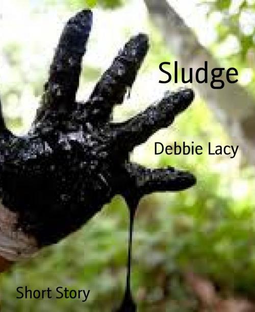 Cover of the book Sludge by Debbie Lacy, BookRix