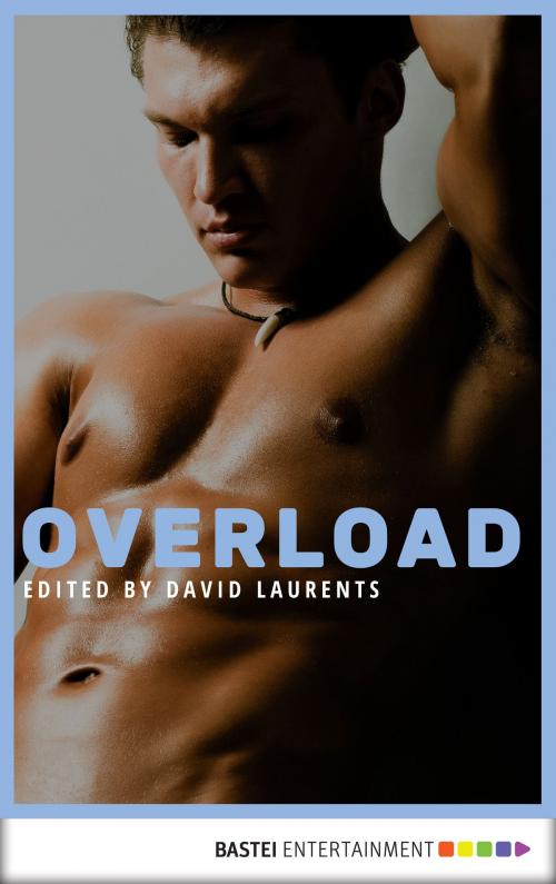 Cover of the book Overload by Alex Corey, Chris Leslie, David Evans, Dominic Santi, Don Shewey, Jameson Currier, Lawrence Schimel, Michael Lassell, Bastei Entertainment