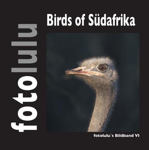 Cover of the book Birds of Südafrika by fotolulu, Books on Demand