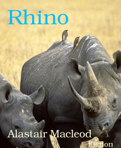 Cover of the book Rhino by Alastair Macleod, BookRix