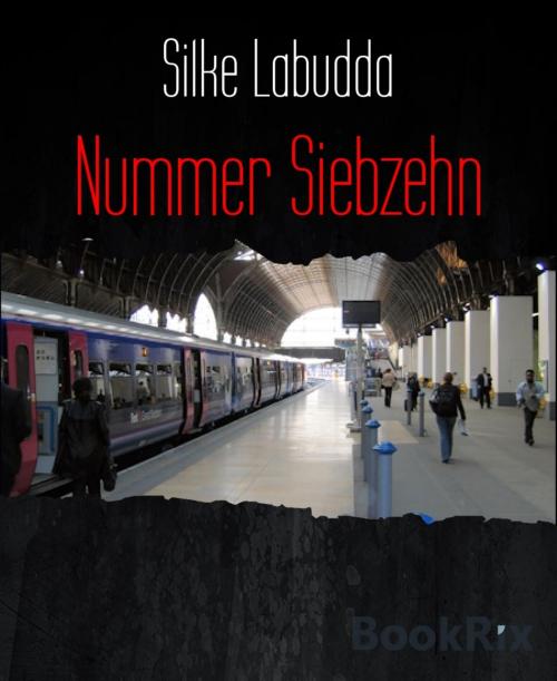 Cover of the book Nummer Siebzehn by Silke Labudda, BookRix