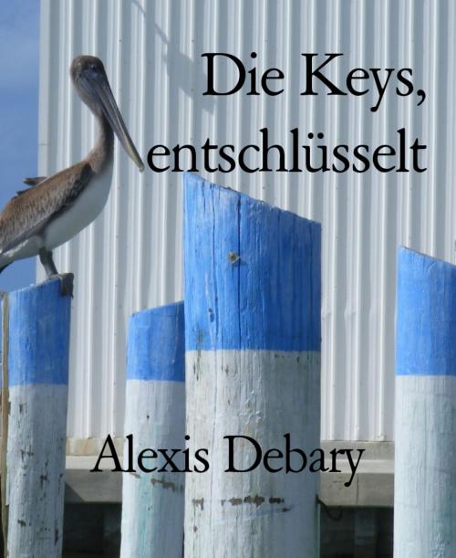 Cover of the book Die Keys, entschlüsselt by Alexis Debary, BookRix