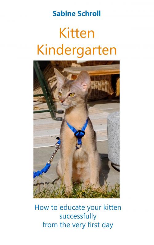 Cover of the book Kitten Kindergarten by Sabine Schroll, Books on Demand