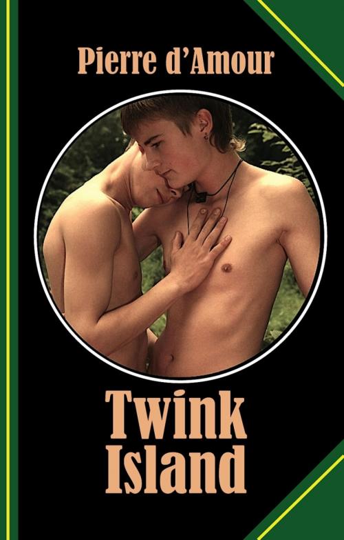 Cover of the book Twink Island by Pierre d'Amour, BookRix