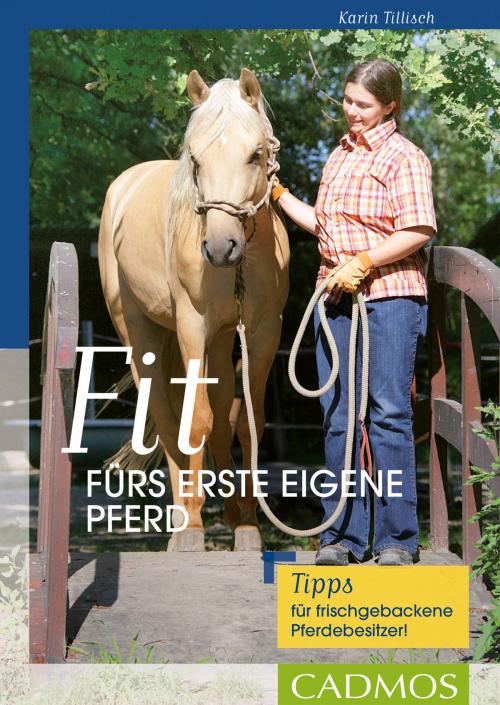 Cover of the book Fit fürs erste eigene Pferd by Karin Tillisch, Cadmos Verlag