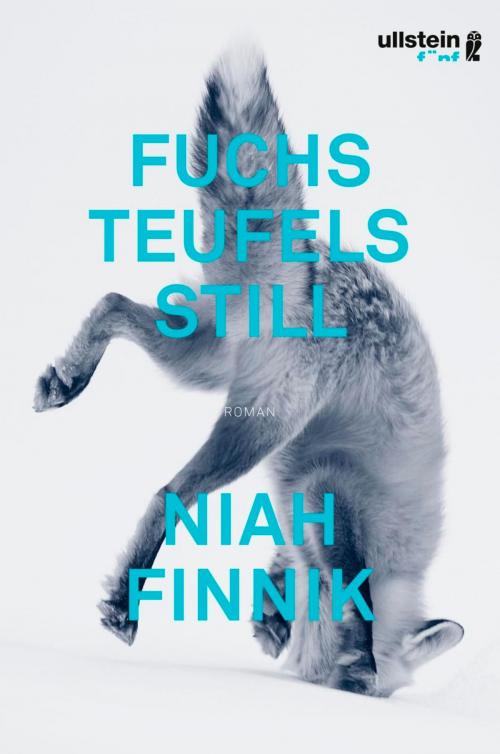 Cover of the book Fuchsteufelsstill by Niah Finnik, Ullstein Ebooks