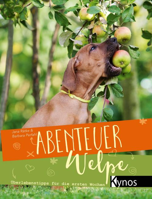 Cover of the book Abenteuer Welpe by Jana Rätke, Barbara Perfahl, Kynos Verlag